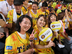 試合観戦の様子②.png