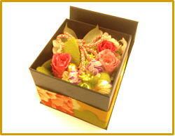 20100127_9.jpg