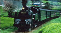 20101013e_3.jpg