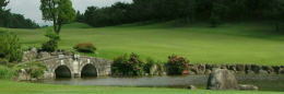20101120w_1.jpg