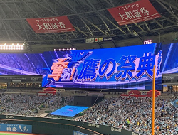 球場の様子.png