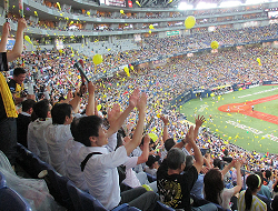 0804勝利のようす.png